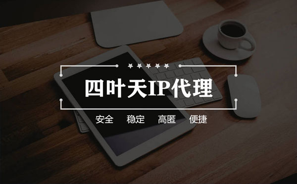 【楚雄代理IP】如何快速搭建代理IP？怎么检查代理的效果？